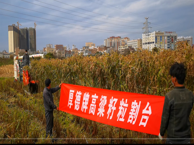 ����Ƹ����������_(t��i)