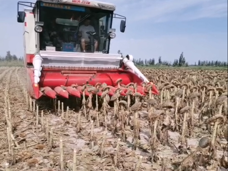 ����ʮ�����Ϳ�