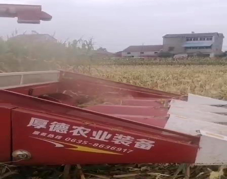 ���׸��_(t��i)�F(xi��n)��(ch��ng)ҕ�l