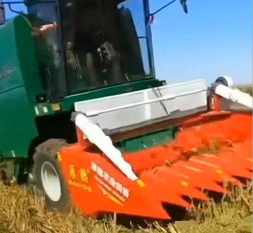 ��¹�����_(t��i)